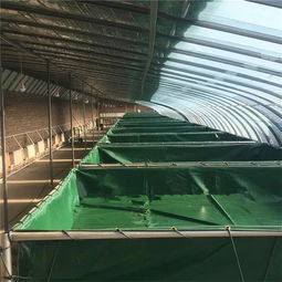 防漏水篷布鱼池 pvc帆布水池图片可移动帆布鱼池绿色储水池厂家