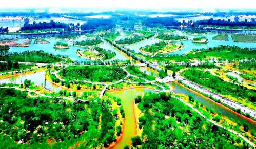 徐州大黄山硅科技小镇 创芯发展众望所，硅技术开发新高地